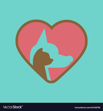 Flat icon on background cat dog heart vector image