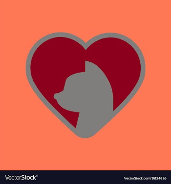 Flat icon on background cat heart vector image