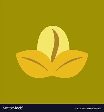 Flat icon on background coffee bean leaves vector image