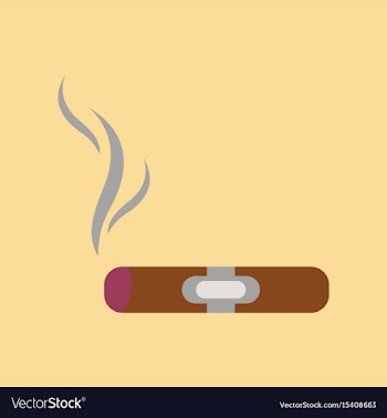 Flat icon on background cuba cigar vector image