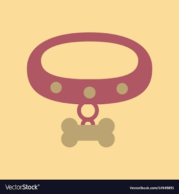 Flat icon on background dog collar vector image