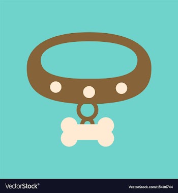 Flat icon on background dog collar vector image