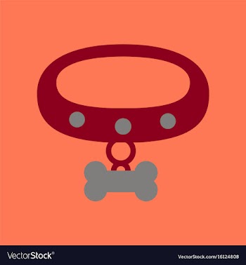 Flat icon on background dog collar vector image