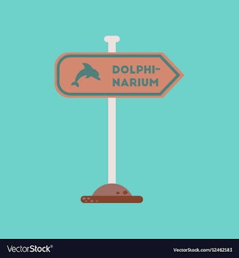 Flat icon on background dolphinarium sign vector image
