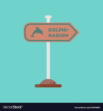 Flat icon on background dolphinarium sign vector image