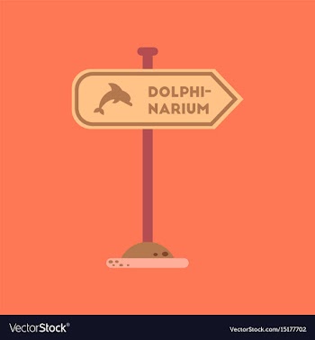 Flat icon on background dolphinarium sign vector image