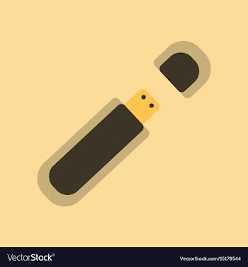 Flat icon on background flash drive vector image