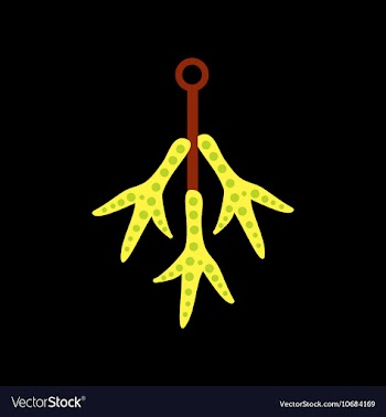 Flat icon on background halloween chicken feet vector image