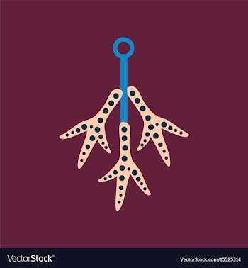 Flat icon on background halloween chicken feet vector image