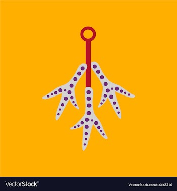 Flat icon on background halloween chicken feet vector image