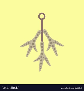 Flat icon on background halloween chicken feet vector image