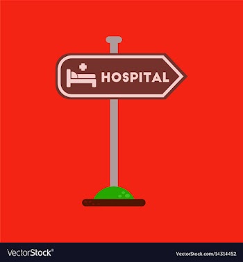 Flat icon on background hospital sign vector image