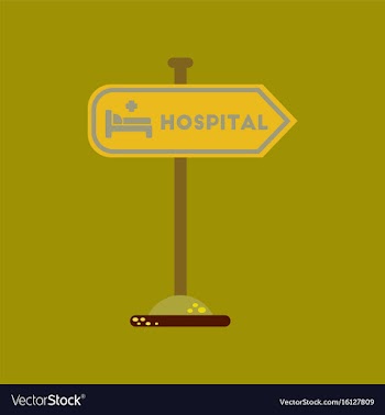 Flat icon on background hospital sign vector image