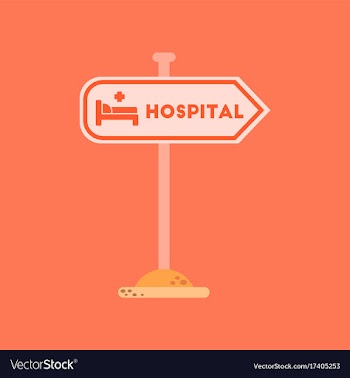 Flat icon on background hospital sign vector image