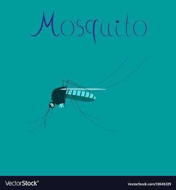Flat icon on background insect mosquito vector image