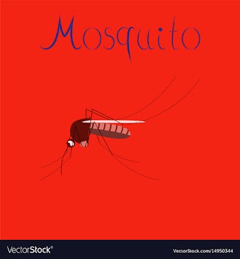 Flat icon on background insect mosquito vector image