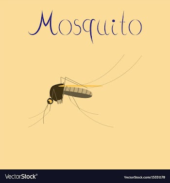 Flat icon on background insect mosquito vector image