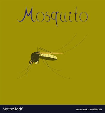 Flat icon on background insect mosquito vector image