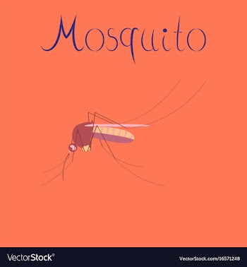 Flat icon on background insect mosquito vector image