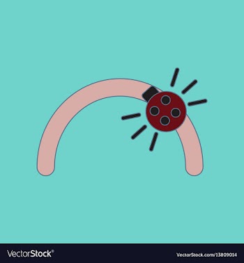 Flat icon on background kids toy ladybug vector image