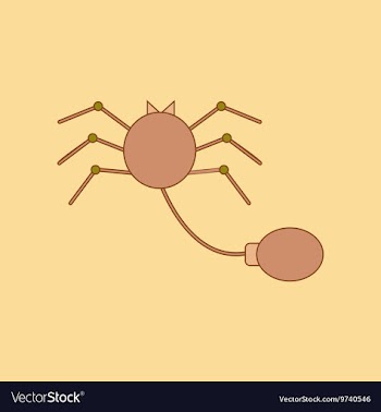 Flat icon on background Kids toy spider vector image