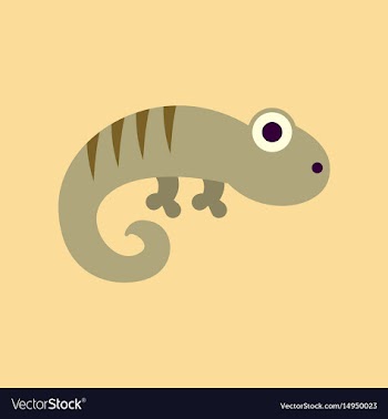 Flat icon on background lizard reptile vector image