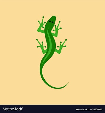Flat icon on background lizard reptile vector image
