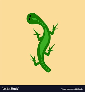 Flat icon on background lizard reptile vector image