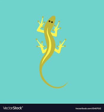 Flat icon on background lizard reptile vector image