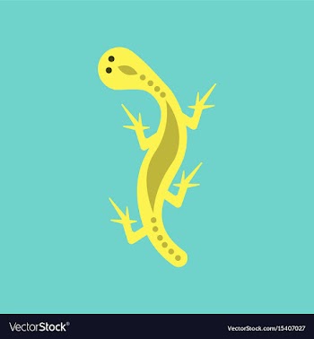 Flat icon on background lizard reptile vector image