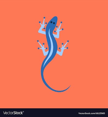 Flat icon on background lizard reptile vector image