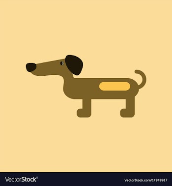 Flat icon on background pet dog dachshund vector image