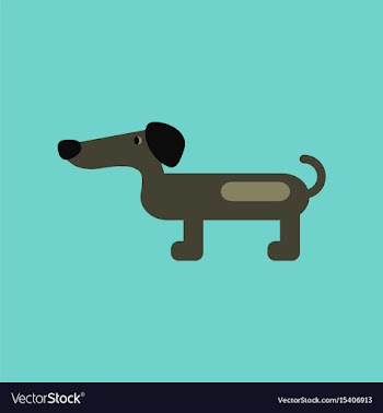 Flat icon on background pet dog dachshund vector image
