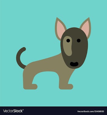 Flat icon on background pet dog pitbull vector image