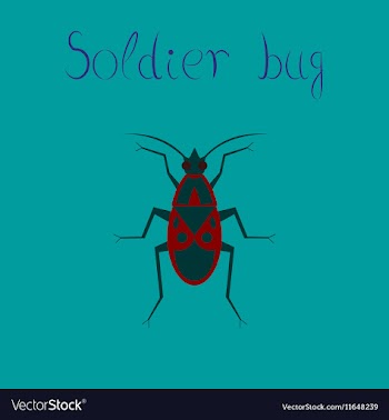 Flat icon on background soldier bug vector image