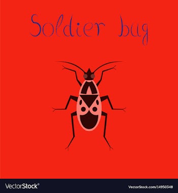 Flat icon on background soldier bug vector image