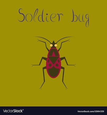 Flat icon on background soldier bug vector image