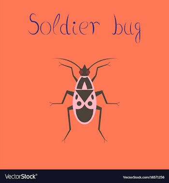 Flat icon on background soldier bug vector image