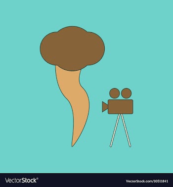 Flat icon on background tornado camera vector image