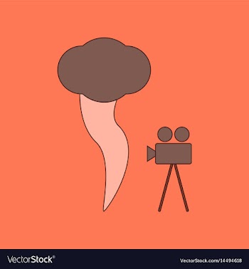 Flat icon on background tornado camera vector image