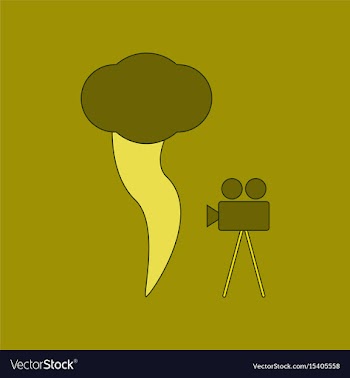 Flat icon on background tornado camera vector image