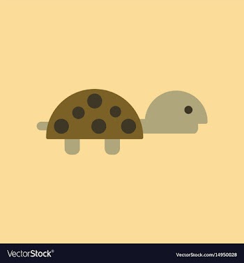 Flat icon on background turtle vector image