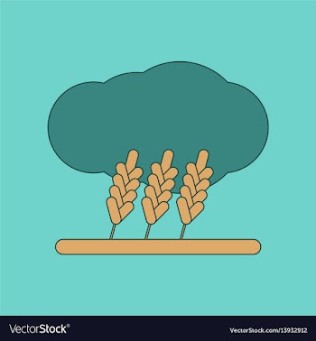 Flat icon on background wheat cloud vector image