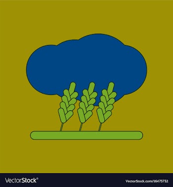 Flat icon on background wheat cloud vector image
