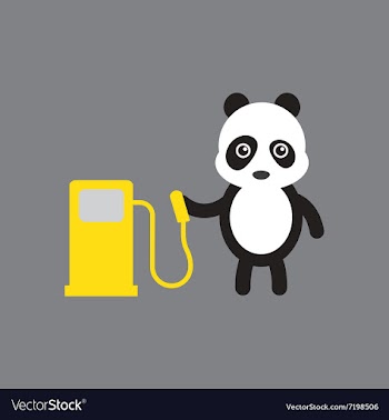 Flat icon on gray background panda cartoon vector image