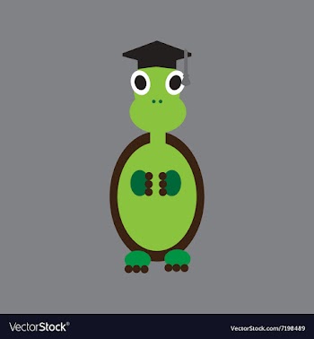 Flat icon on gray background turtle cartoon vector image