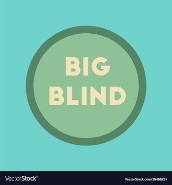 Flat icon on stylish background big blind vector image