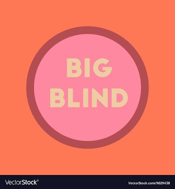 Flat icon on stylish background big blind vector image