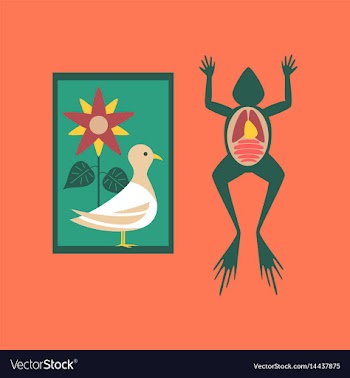 Flat icon on stylish background biology frog bird vector image