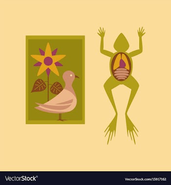 Flat icon on stylish background biology frog bird vector image